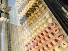 -BLACKSWAN黑天鹅(环球店)