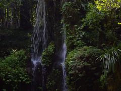 -成都杜甫草堂博物馆