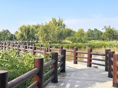 -长兴太湖图影湿地文化园