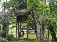 -深圳野生动物园