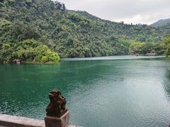 -鼎湖山风景区