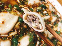牛肉韭黄饺子-尤素福东举院饺子馆