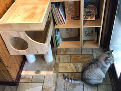 -隅cafe(傅厚岗店)