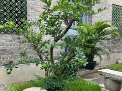 -陈家祠堂-游客中心