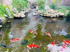 -鲤院·新中式美学·庭院餐厅(夫子庙店)