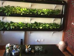 -孙三拨按摩拨筋(五一路店)