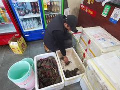 -瑞丽活螃蟹(芒市店)