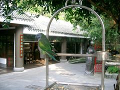 -东部华侨城