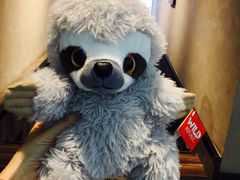 -ZOO COFFEE动物园咖啡(望京锐创店)