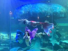 -龙谷湾旅游休闲度假区