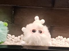 -德全心悦酒店(北京金台路地铁站店)