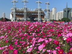 -海心沙亚运公园