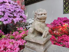 -上海醉白池公园