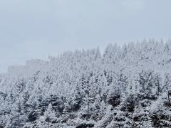 -五台山风景区