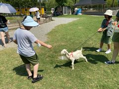 -前小桔亲子创意农场·草莓采摘·露营烧烤