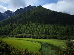 -稻城亚丁景区-冲古草甸