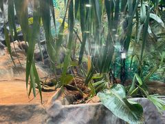 -上海大自然野生昆虫馆(东方明珠·爬宠昆虫探索中心)