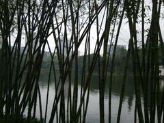 -晓港公园