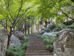 -中国茶叶博物馆(双峰馆区)