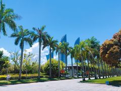 -厦门大学(思明校区)
