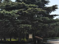 -武汉二七纪念馆