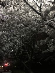 -魅力发型