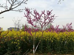-江南大学(蠡湖校区)