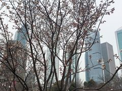 -西北湖绿化广场