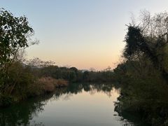 -西溪国家湿地公园