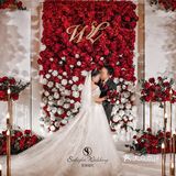 玫瑰🌹的香气,最适合婚礼哦