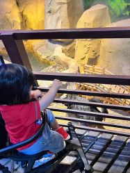 -酷嗒动物文化乐园(cutezoo西溪乐天城店)