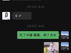 -宠爱国际动物医院· 猫科· 外科·中兽医(长白店)