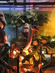 -恐龙探索乐园(磁器口店)