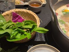 -大龙燚·旷野鲜火锅(广州首店)