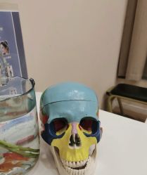-颜和骨正·明哲式骨相美学整骨