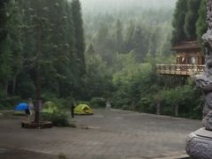 -武陵山森林公园
