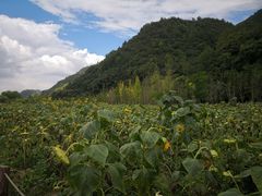 -贵阳市花溪国家城市湿地公园