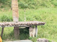 -宁波野生动物园