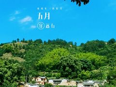 -杨家堂村