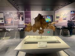 -北京周口店北京人遗址博物馆