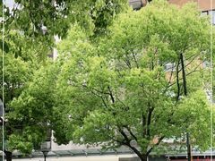 -NEIWAI内外(大学路店)
