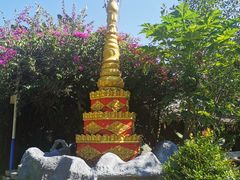 -瑞丽独树成林风景区