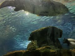 -秦皇岛新澳海底世界