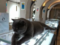 -Me Coffee下午茶艺术空间