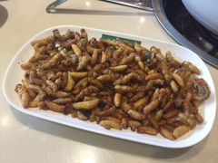 -爱膳菌锅锅(阳南店)