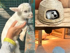 -杭州开元森泊度假乐园