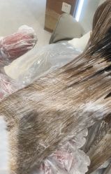 点击看大图 -MY HAIR ARDOR