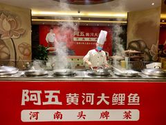 -阿五黄河大鲤鱼(纬三路店)