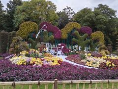 -上海共青森林公园