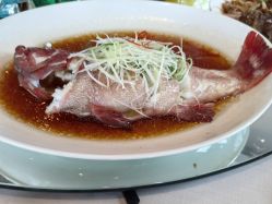 -上海环球港凯悦酒店-云端生日宴·宝宝宴·答谢宴